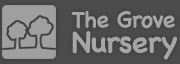 Footer Logo